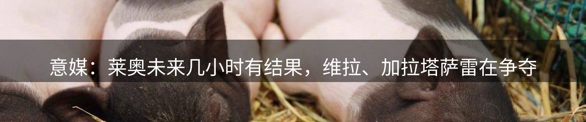 焦点优选